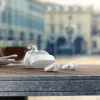 Bluetooth ausinės Philips TAT2206WT/00 Balta