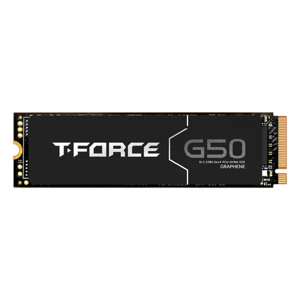 Cietais Disks Team Group G50 1 TB SSD