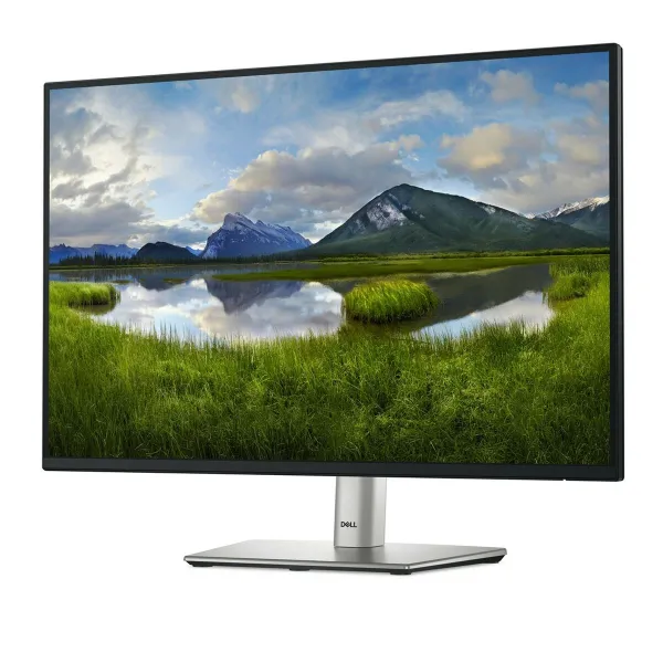 Monitorius Dell P2425  24,1" HD WUXGA 100 Hz