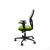 Gaming Chair Piqueras y Crespo 2D036G0 Pistachio
