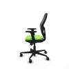 Gaming Chair Piqueras y Crespo 2D036N0 Pistachio