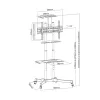 TV Statīvs TM Electron 37"-70" 50 kg