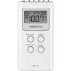 Радио Sangean DT120W Белый