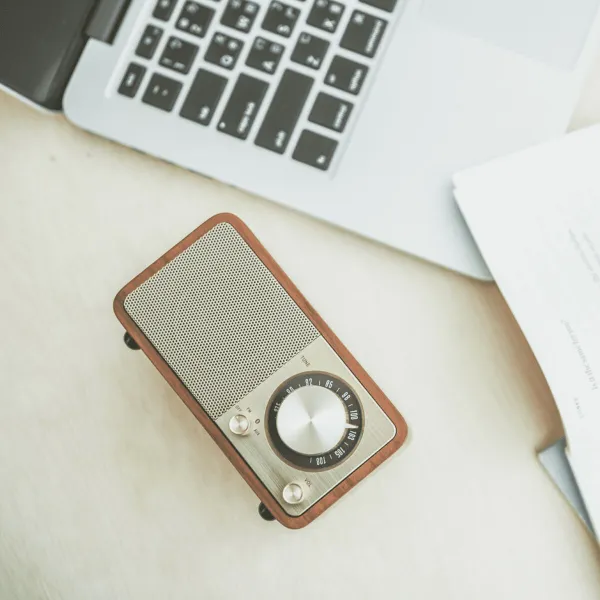 Nešiojamas Bluetooth radijas Sangean Retro Medžio FM