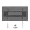 TV laikiklis TM Electron 43” 90" 80 kg