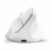 Hiir Bluestork Demi-Sphere Valge
