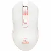 Trackball The G-Lab