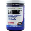 Aminolastas, Braškių kiviai - 420g | Pirkti internetu — Megaluks