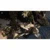 Xbox Series X vaizdo žaidimas Microids Flint: Treasure of Oblivion