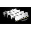 RAM Memory GSKILL F5-8000J3848F24GX2-TR5S