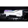 RAM Memory GSKILL F5-8000J3848F24GX2-TR5S