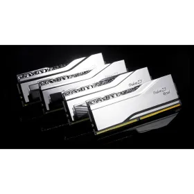 RAM Memory GSKILL F5-6800J3446F48GX2-TR5S