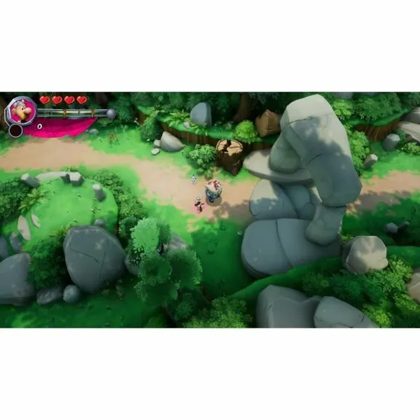 Видеоигра для Switch Microids