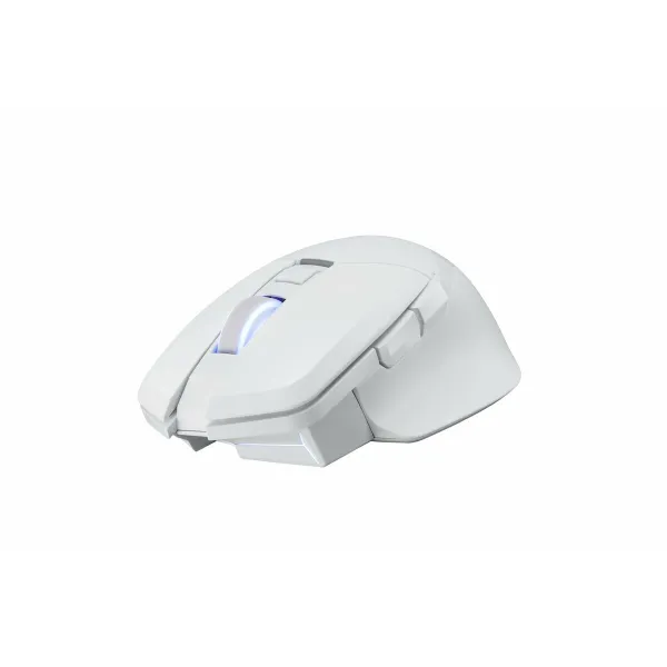 Mouse Powercolor 2U1-G000041001