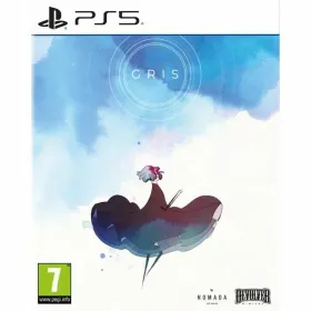 Видеоигры PlayStation 5 Just For Games Gray
