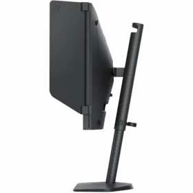 Monitorius BenQ 9H.LLRLB.QBE Full HD 24,5