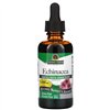 Echinacea Root, 1000mg - 60 ml.
