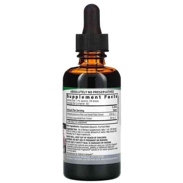 Echinacea Root, 1000mg - 60 ml.