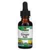 Ginger Root - 30 ml.