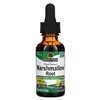 Marshmallow Root - 30 ml.