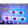 Klaviatūra un Pele Cherry CXK5V2RGBCPTBLACKRFR