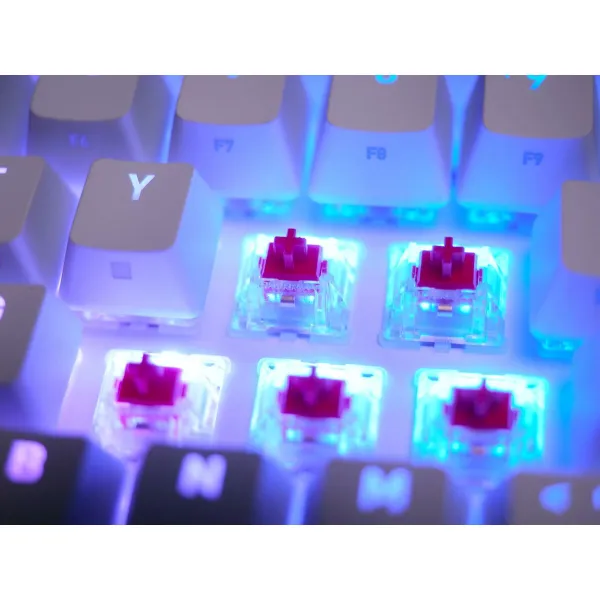 Klaviatūra un Pele Cherry CXK5V2RGBCPTTPWHTRFR