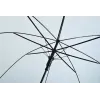 Transparent white umbrella