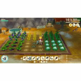 Switch vaizdo žaidimas Just For Games Story of Seasons Grand Bazaar
