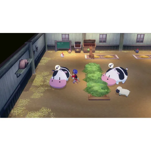 Switch vaizdo žaidimas Just For Games Story of Seasons Grand Bazaar