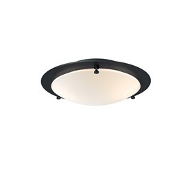 Ceiling light Cirklo Ø30 black structure