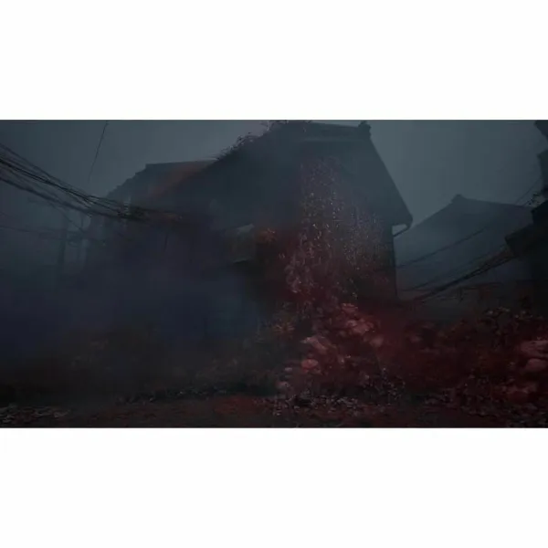 PlayStation 5 vaizdo žaidimas Just For Games Silent Hill f Day One Edition