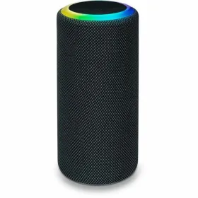 Nešiojamos garso kolonėlės BigBen Party 30 W