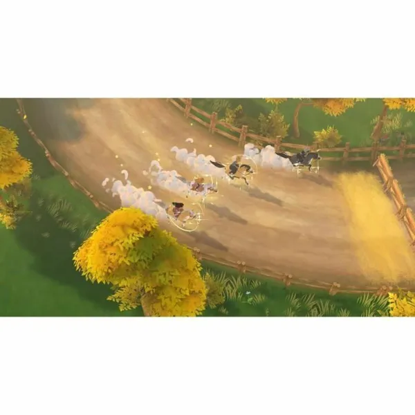 Switch vaizdo žaidimas Microids Les Sisters 2