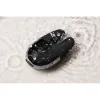 Parihierontalaite Le Wand