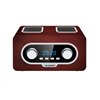 Radijas Blaupunkt PP5.2BR Ruda Bronzinis | Pirkti internetu — Megaluks