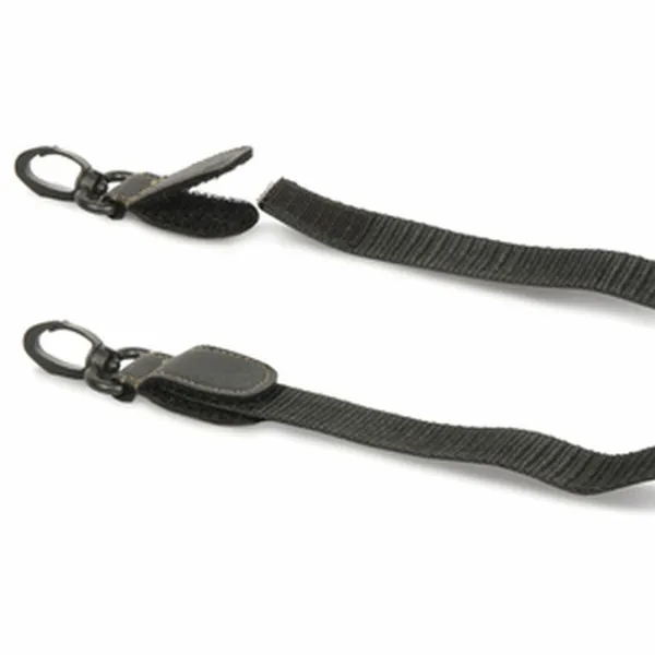 Accessory Mobilis  