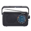 Blaupunkt radio PR9BK melns