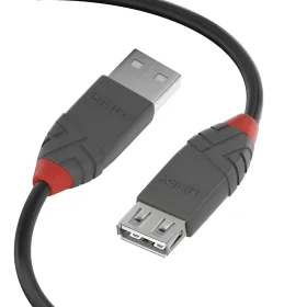 Кабель Displayport LINDY Чёрный 2 m