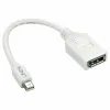 Adapteris iš Mini Display prievado į DisplayPort LINDY Balta 5 m