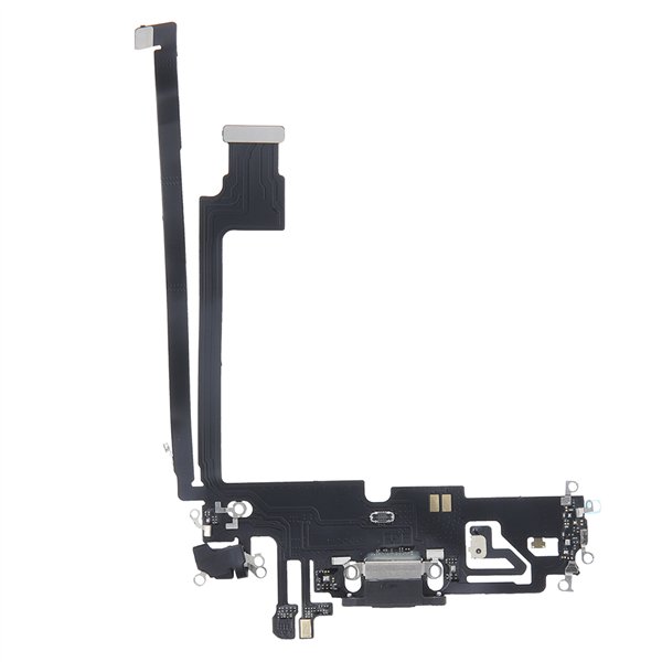 iPhone 12 Pro Maxi laadimispaind