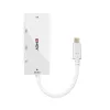 USB Centrmezgls LINDY 43279 Balts (1 gb.)