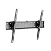 TV laikiklis Equip 650332 70" 40 kg
