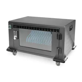 Seinakinnitusega Serverikapp Digitus by Assmann DN-45007