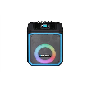 Аудиодинамик Blaupunkt MB06.2