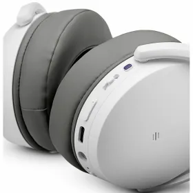 Nutikas Andur Ustele ja Akendele TP-Link TAPO T300