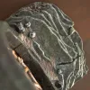 Harry Potter - Chamber of Secrets Bookend