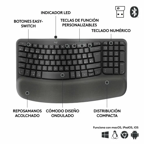 Клавиатура и мышь Logitech Графитовый Сталь Испанская Qwerty