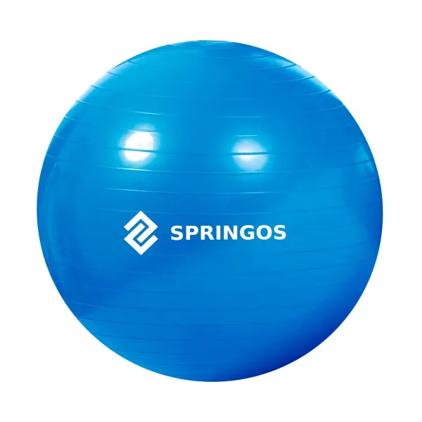 Мяч для упражнений с насосом Springos FB0009 85см
