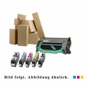 Alkunperäinen mustepatruuna Epson C13T29964022 Monivärinen