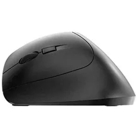 Otas Pincello Daudzkrāsains Komplekts Sūklis (12 gb.)